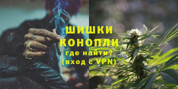 дмт Пересвет