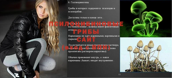 сатива Балабаново